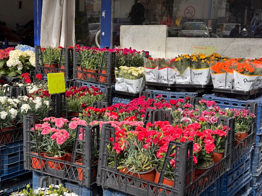An outdoor display of various brightly colored potted flowers, including pink, red, white, yellow, and orange blooms, arranged in black plastic crates on blue pallets in front of a flower shop. The fl